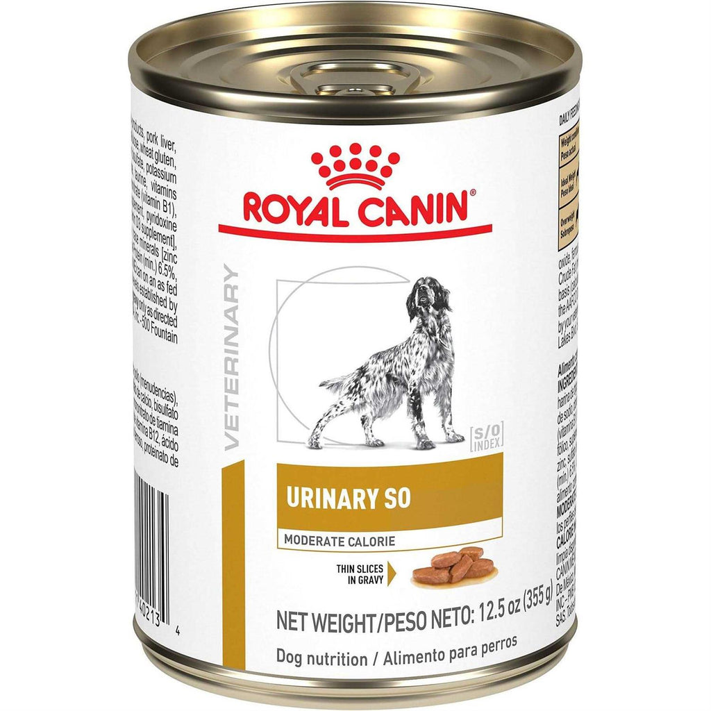 Moderate Calorie Morsels in Gravy Canned Wet Dog Food H214821