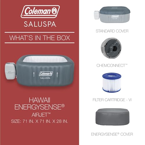 Gray Inflatable Hot Tub E669
