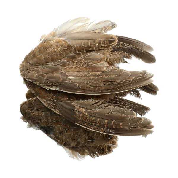 6 Pk Pet Supplies L8145