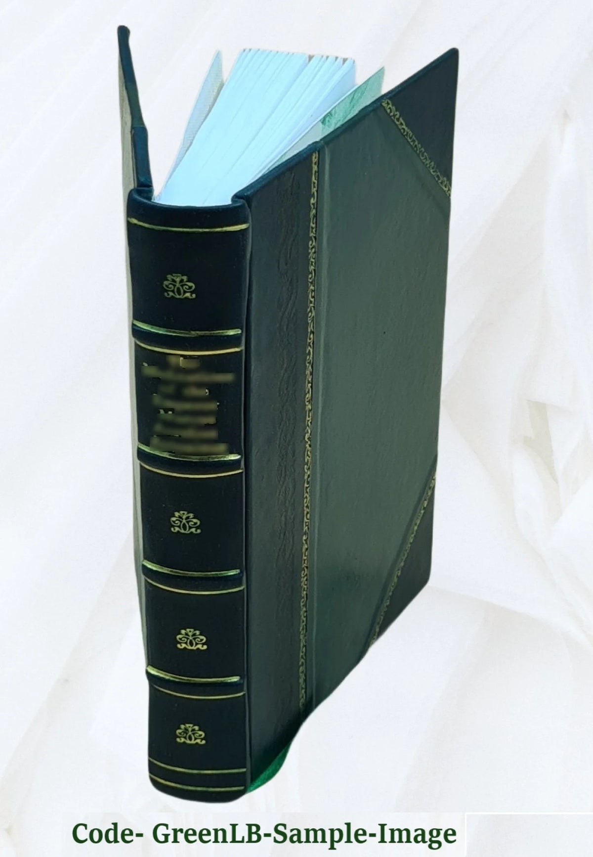 The Arctic prairies; a canoe-journey of 2,000 miles in search of the caribou; being the account of a voyage to the region north of Aylmer Lake 1911 [Leather Bound] N2147