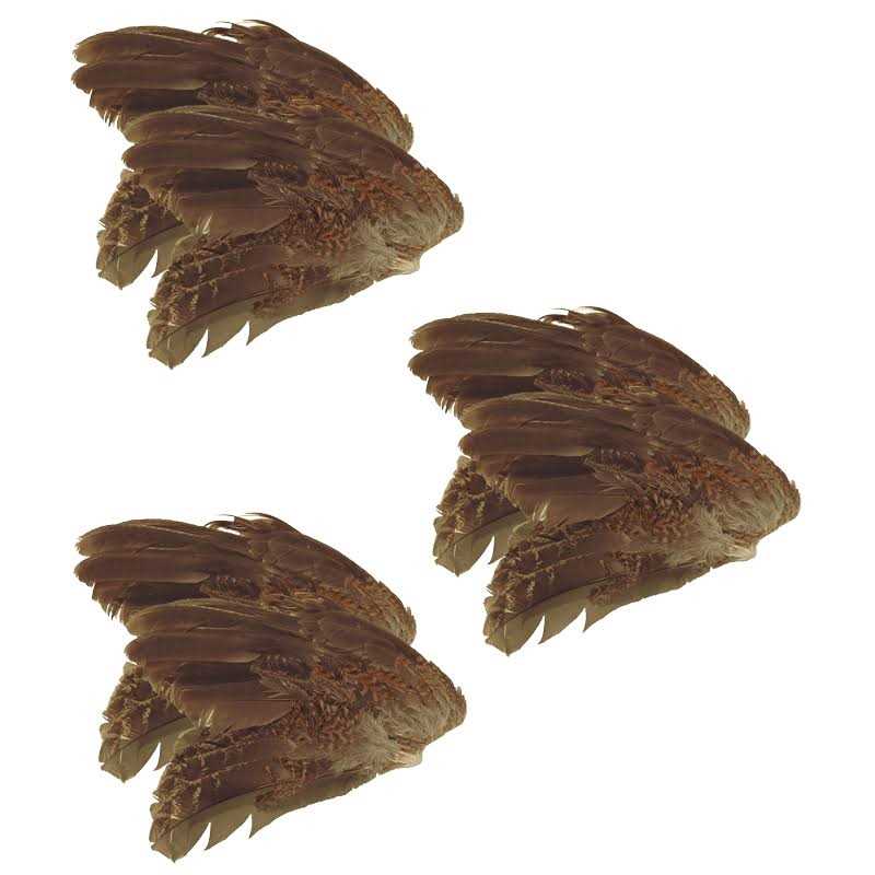 6 Pk Pet Supplies L8145