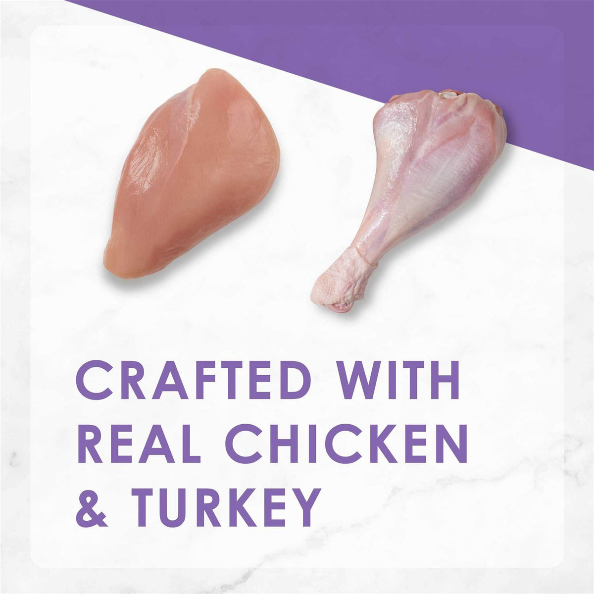 Dry Cat Food Chicken Turkey I58798