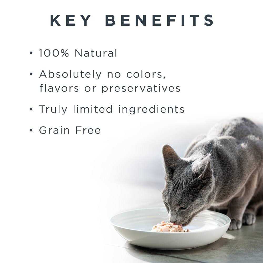 Grain Free Tuna Fillet Broth Wet Cat Food H5778