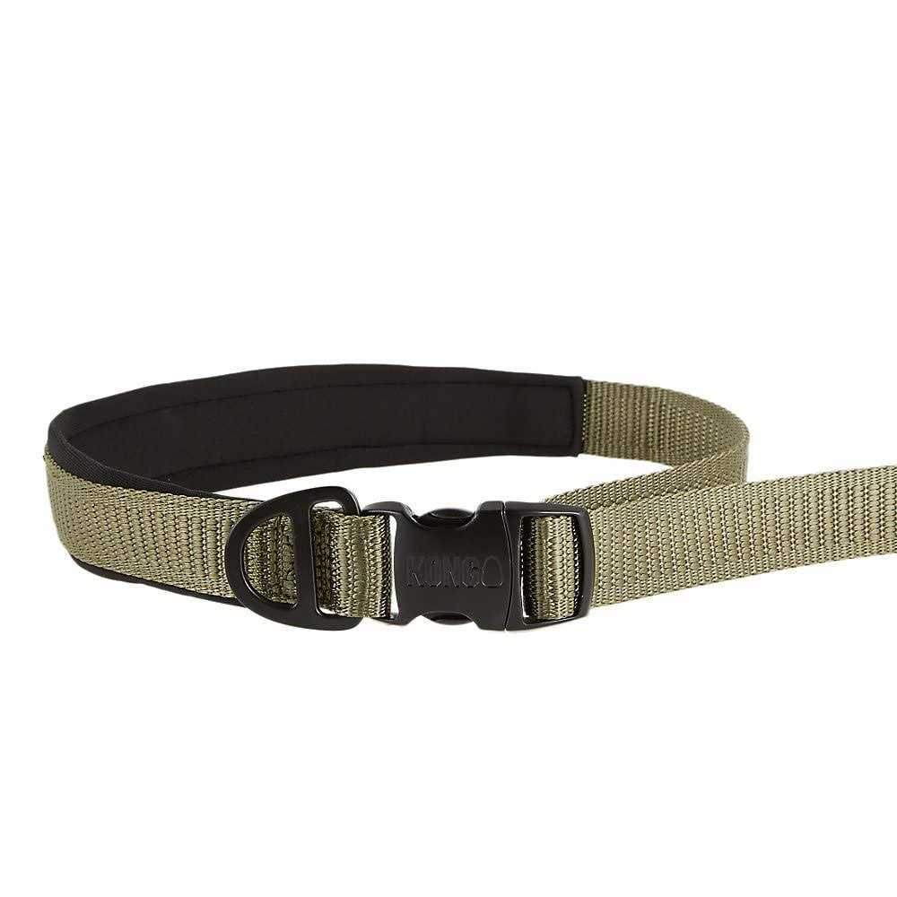 Hands-Free Dog Leash 6-ft Green O4097