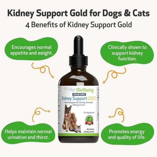 Kidney Support Gold for Dogs D148829