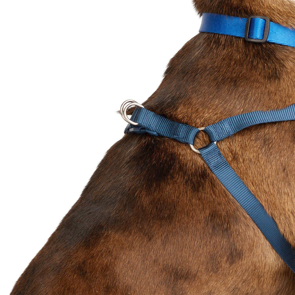 Padded Step-in Dog Harness O930