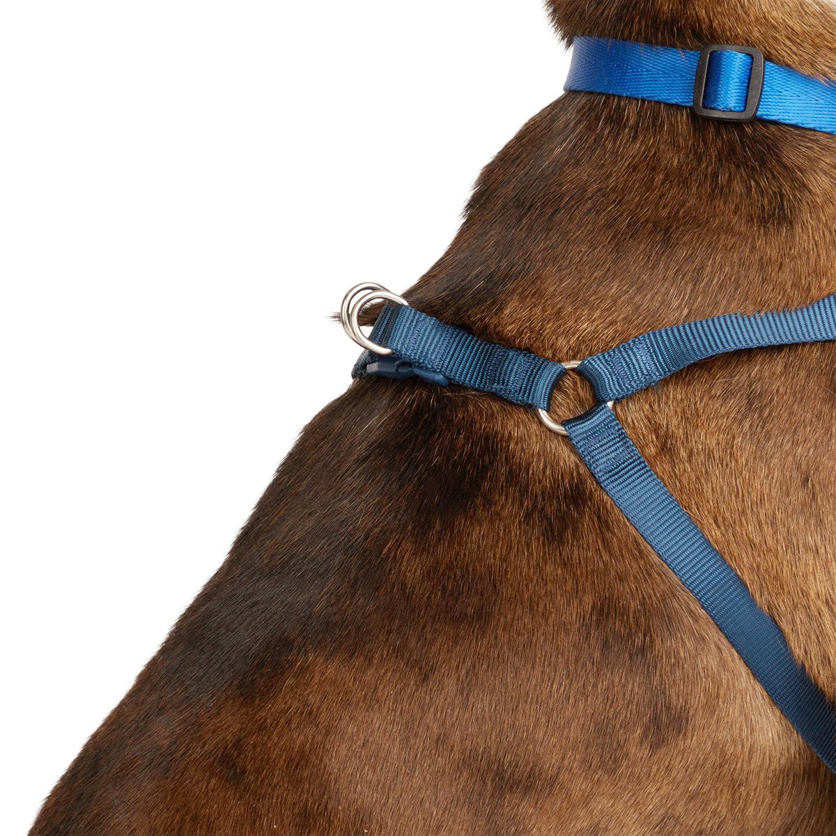 Padded Step-in Dog Harness O930