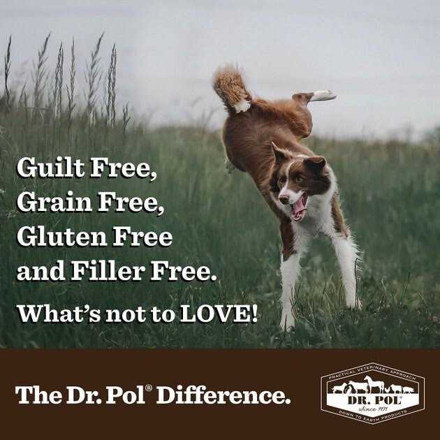 Freeze Dried Salmon Dog Treat and Meal Topper W592