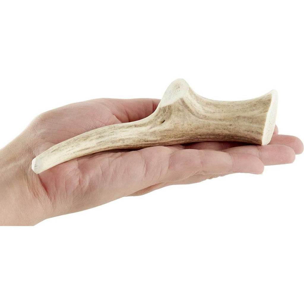Antler Chew X40941