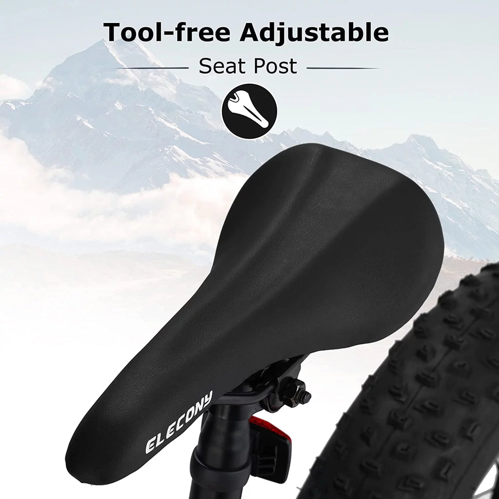 24 inch Mountain Bike with Fat Tires S515