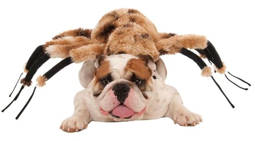 Giant Spider Pet Costume Y5345