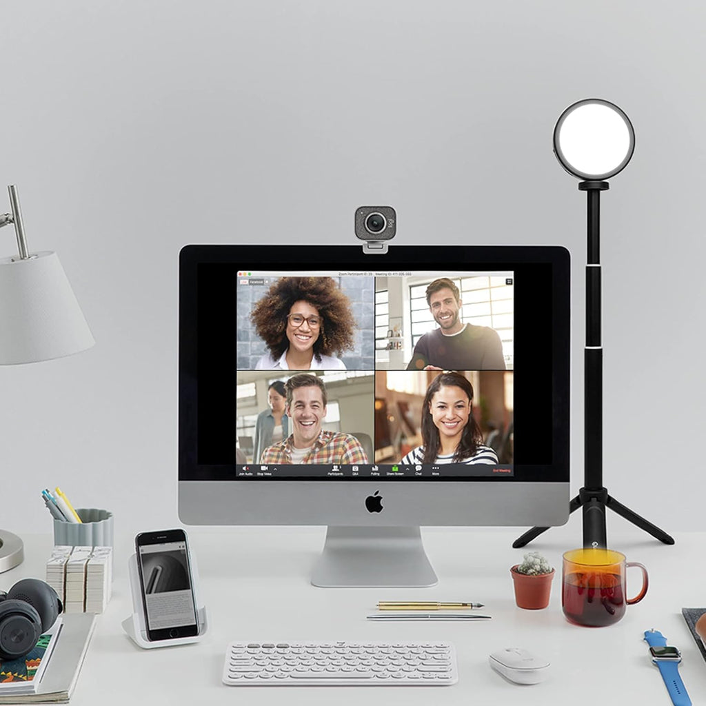 Video Conference Lighting Kit with Adjustable Brightness and Color Temperature, Stand and Mount Included F1973