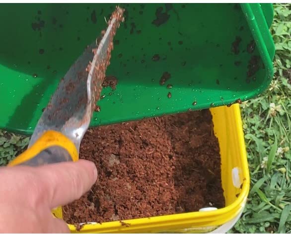 Worm Bucket Indoor Composting Kit T197