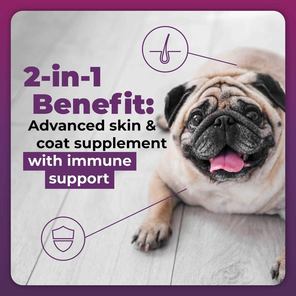Duck Flavor Supplement for Dogs Q717