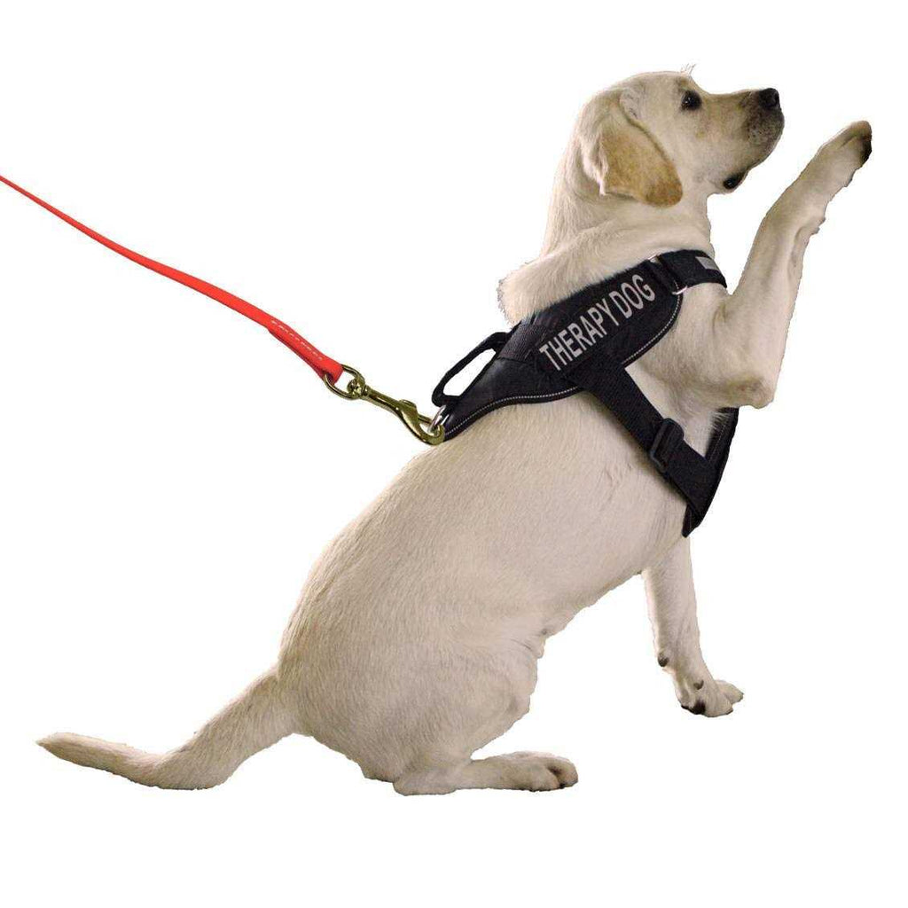 Waterproof K9 Working Dog Leash J4778