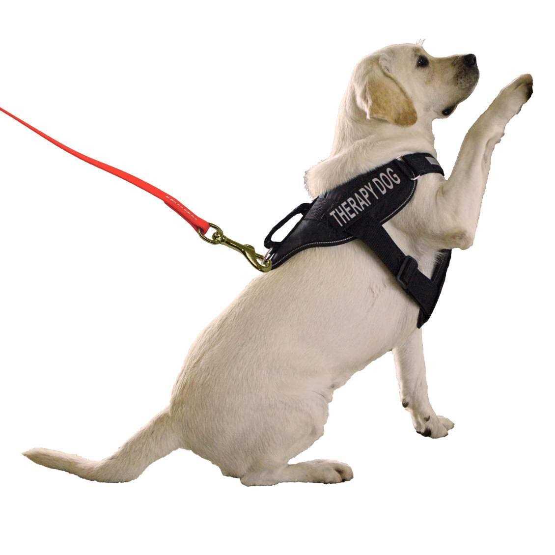 Waterproof K9 Working Dog Leash J4778