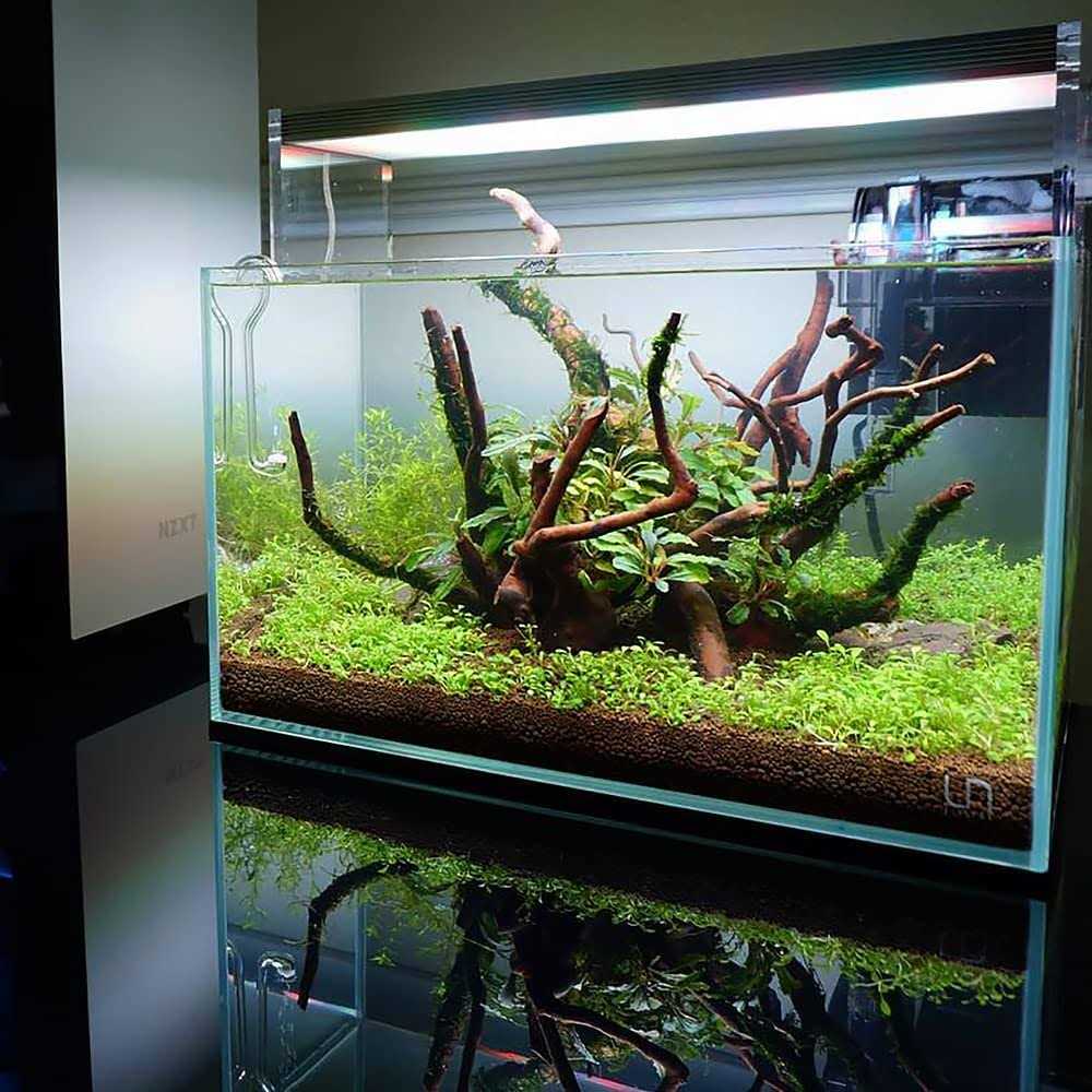 Aquatic Substrate Q233