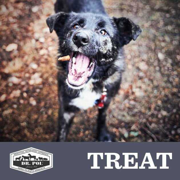 Freeze Dried Salmon Dog Treat and Meal Topper W592