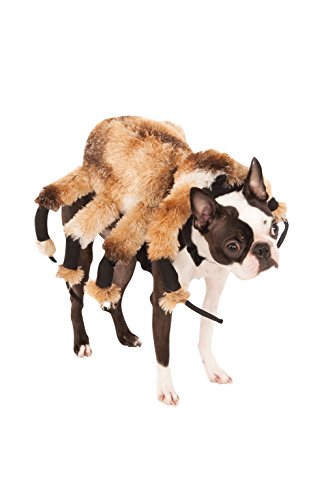 Giant Spider Pet Costume Y5345