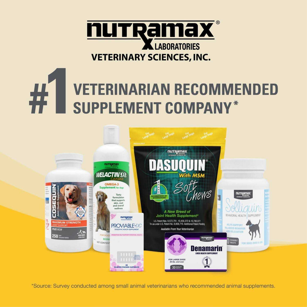 Joint Health Supplement with MSM for Small to Medium Dogs S7976
