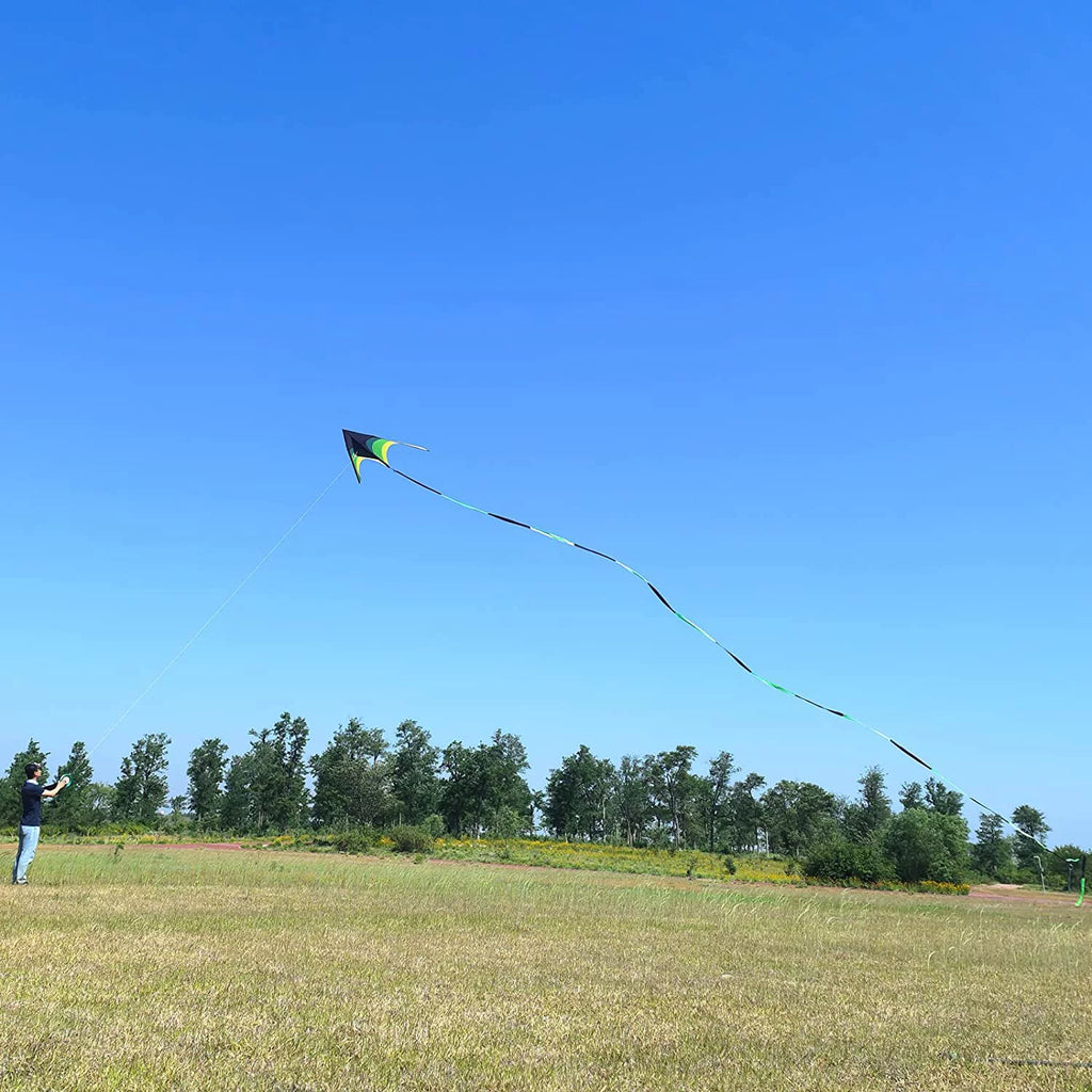 Black Green Giant Delta Kite S582