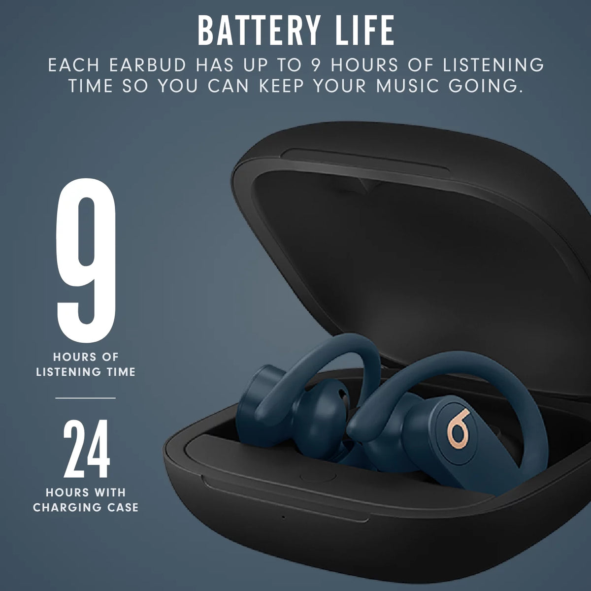 Navy Bluetooth True Wireless Earbuds with Charging Case O420619