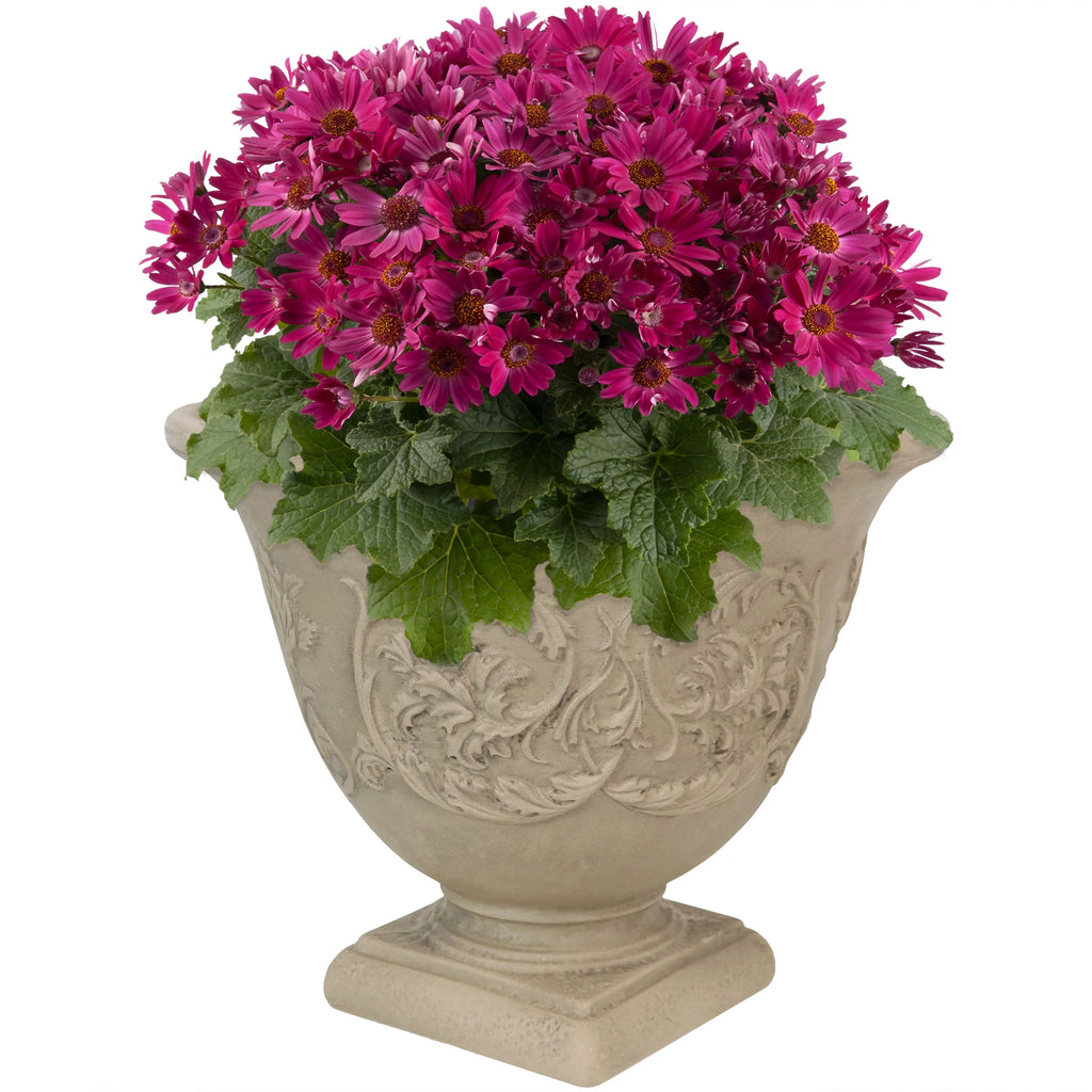 Beige 16" Double-Walled Weather-Resistant Planter L513
