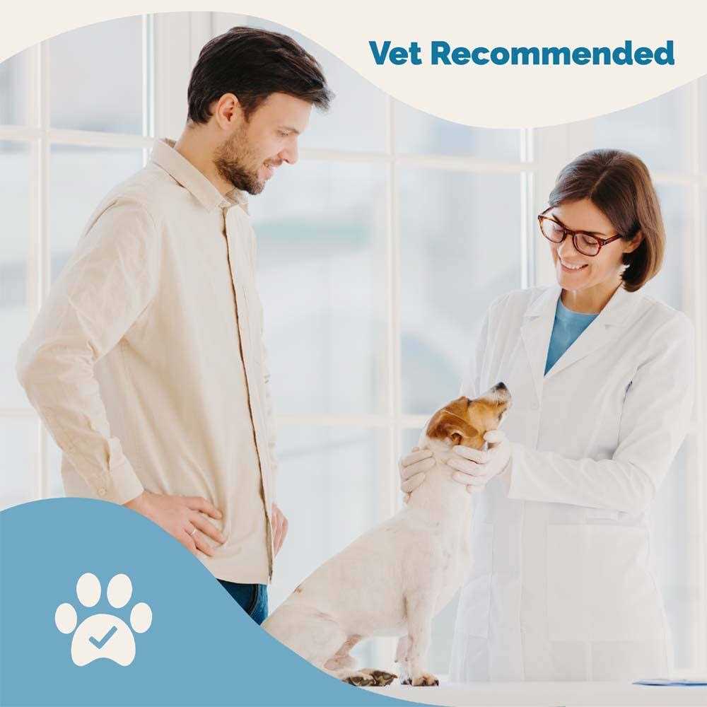 Lignans & Melatonin Blend Medicine for Dogs O43773