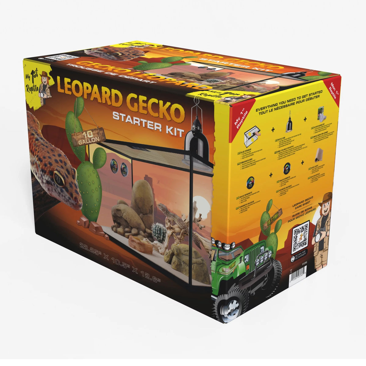 Leopard Gecko Reptile Starter Kit O473108