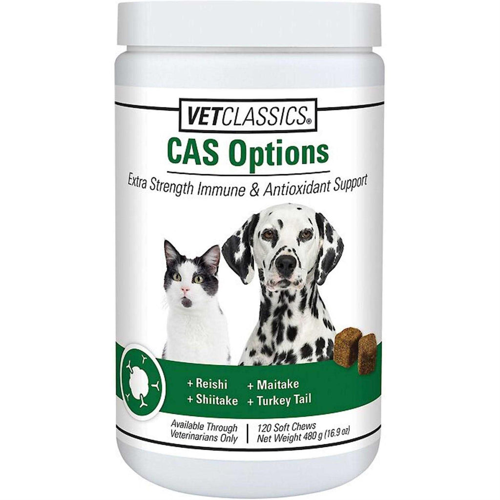 CAS Options K638935