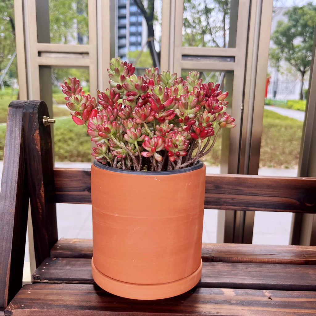 Terracotta Flower Pots, 3 Count with Drainage Holes B360