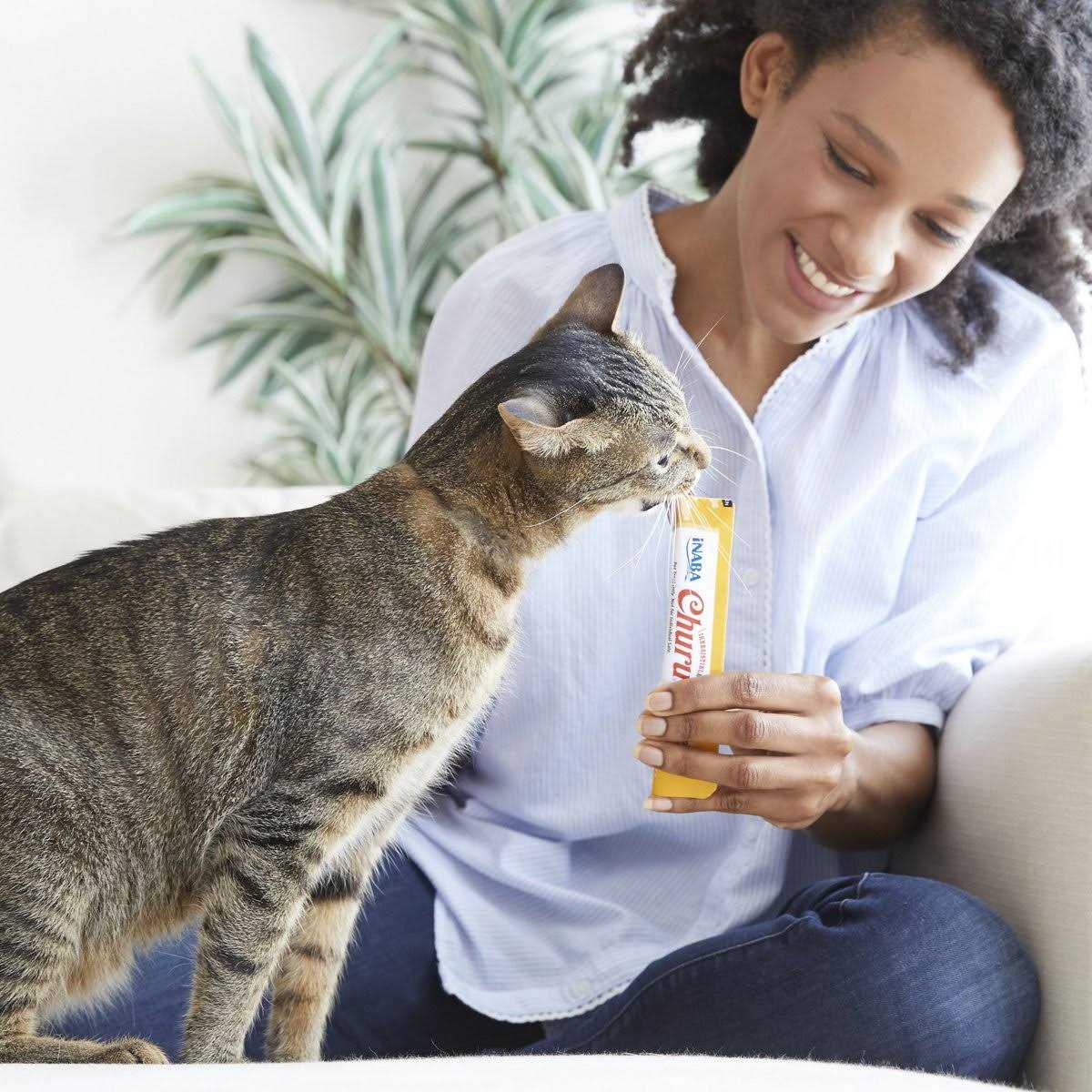 Cat Treat C149