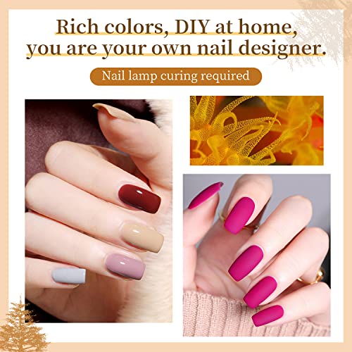 10 Colors Gel Nail Polish Kit with Mini UV LED Nail Lamp Base Coat Top Coat Set V756