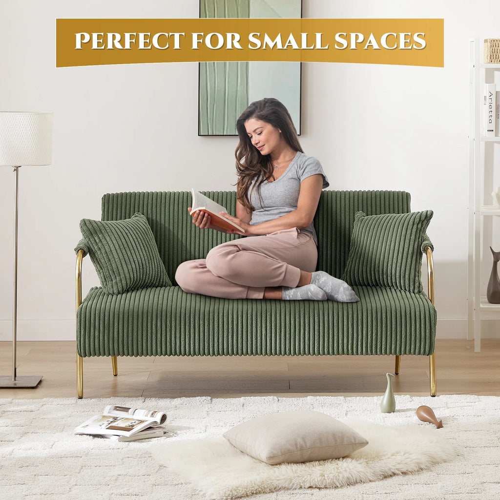 Upholstered Velvet Futon Sofa Bed with 2 Pillows Q67533