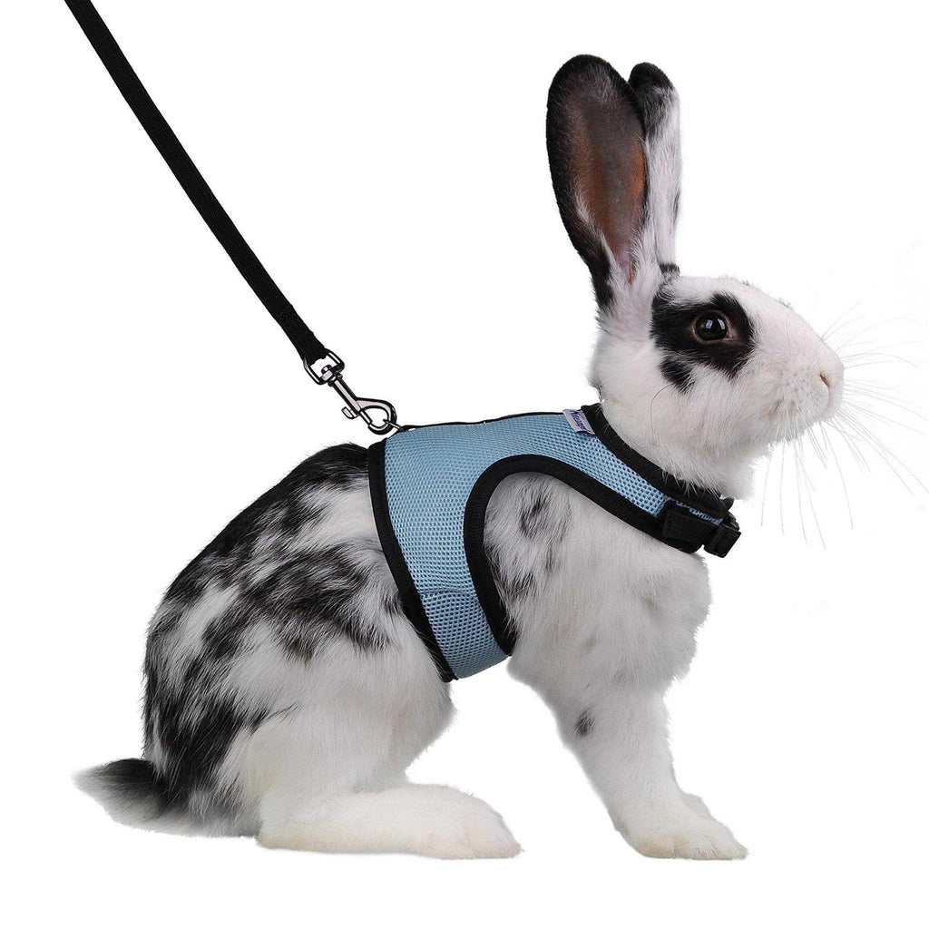 Adjustable Soft Harness with Elastic Leash for Rabbits Q684563