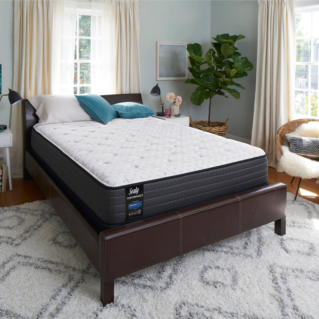Plush Euro Top Mattress Set - Twin G409