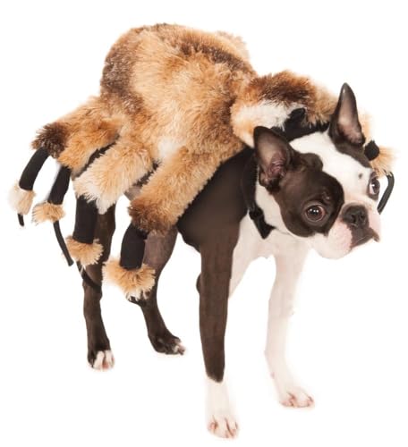 Giant Spider Pet Costume Y5345