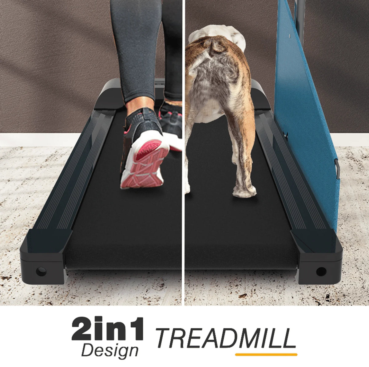 Black Dog Treadmill for Dogs up to 220 lb C977