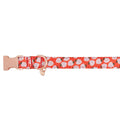Adjustable Neoprene Dog Collar B531013