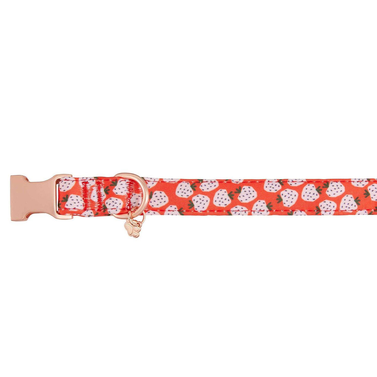 Adjustable Neoprene Dog Collar B531013