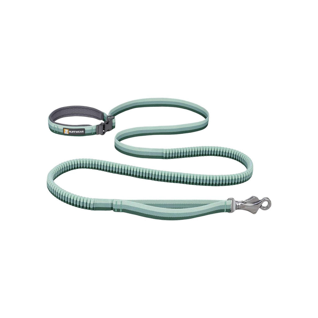 Leash X6349