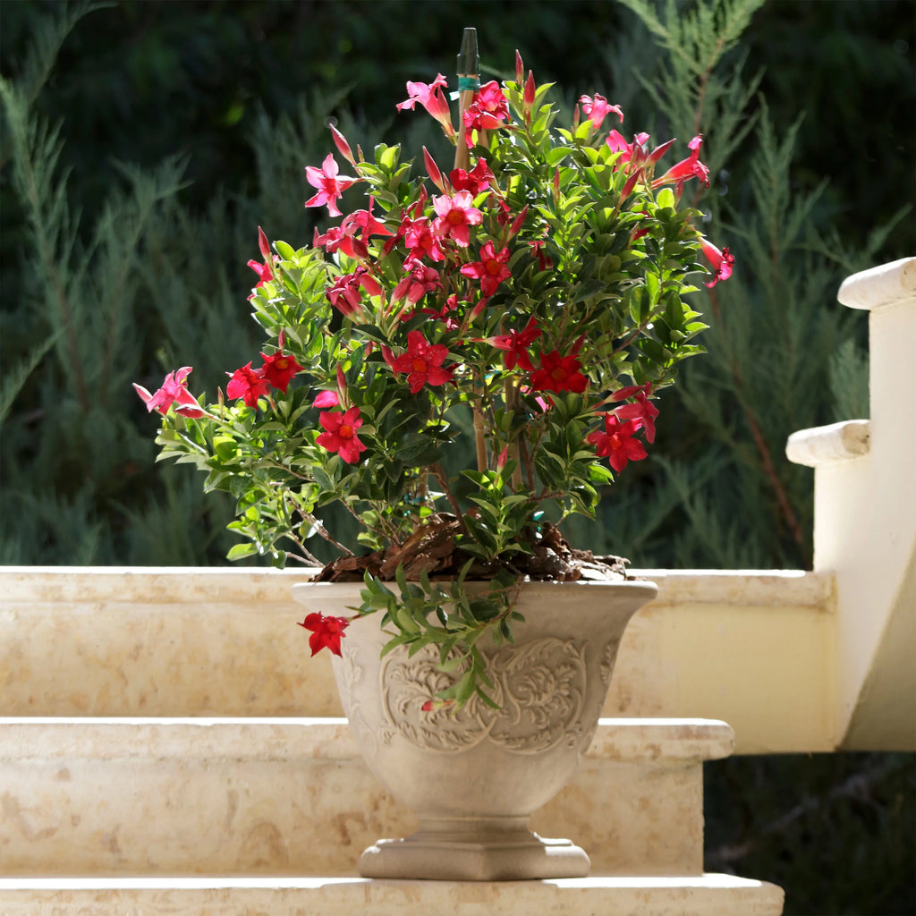 Beige 16" Double-Walled Weather-Resistant Planter L513