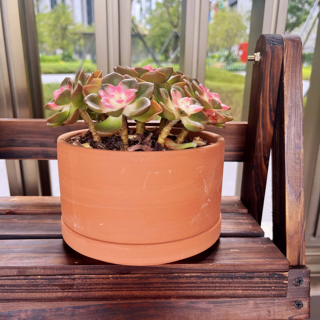 Terracotta Flower Pots, 3 Count with Drainage Holes B360