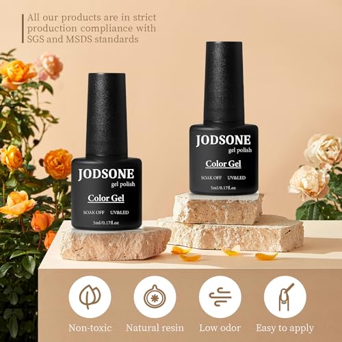 10 Colors Gel Nail Polish Kit with Mini UV LED Nail Lamp Base Coat Top Coat Set V756
