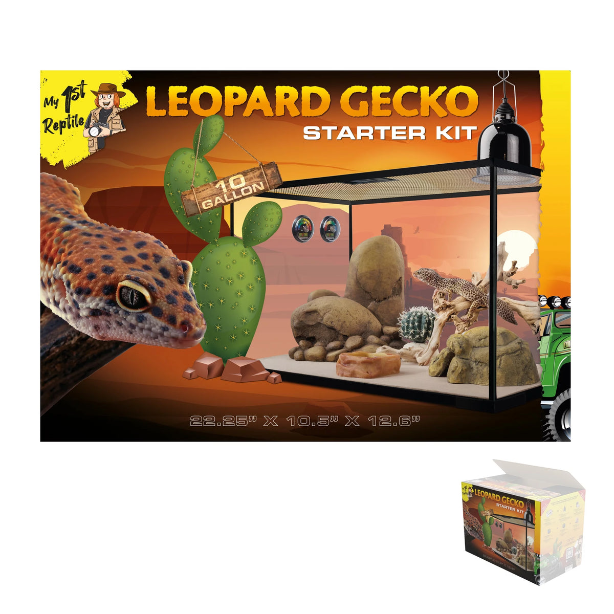 Leopard Gecko Reptile Starter Kit O473108