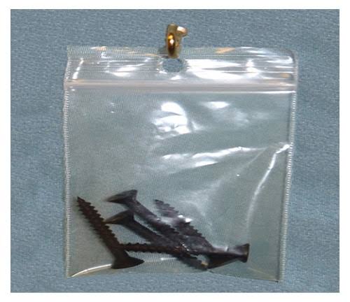 Clear 4 Mil Reclosable Bags with Hang Hole, Case of 1000 L5876