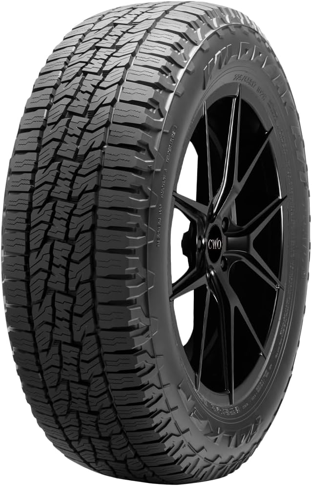 225/60R18 100H All Terrain Light Truck Tire P165