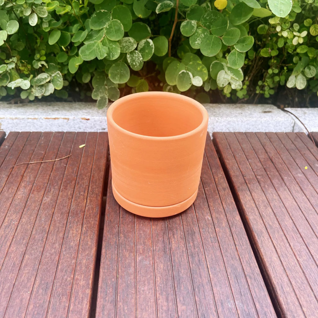 Terracotta Flower Pots, 3 Count with Drainage Holes B360