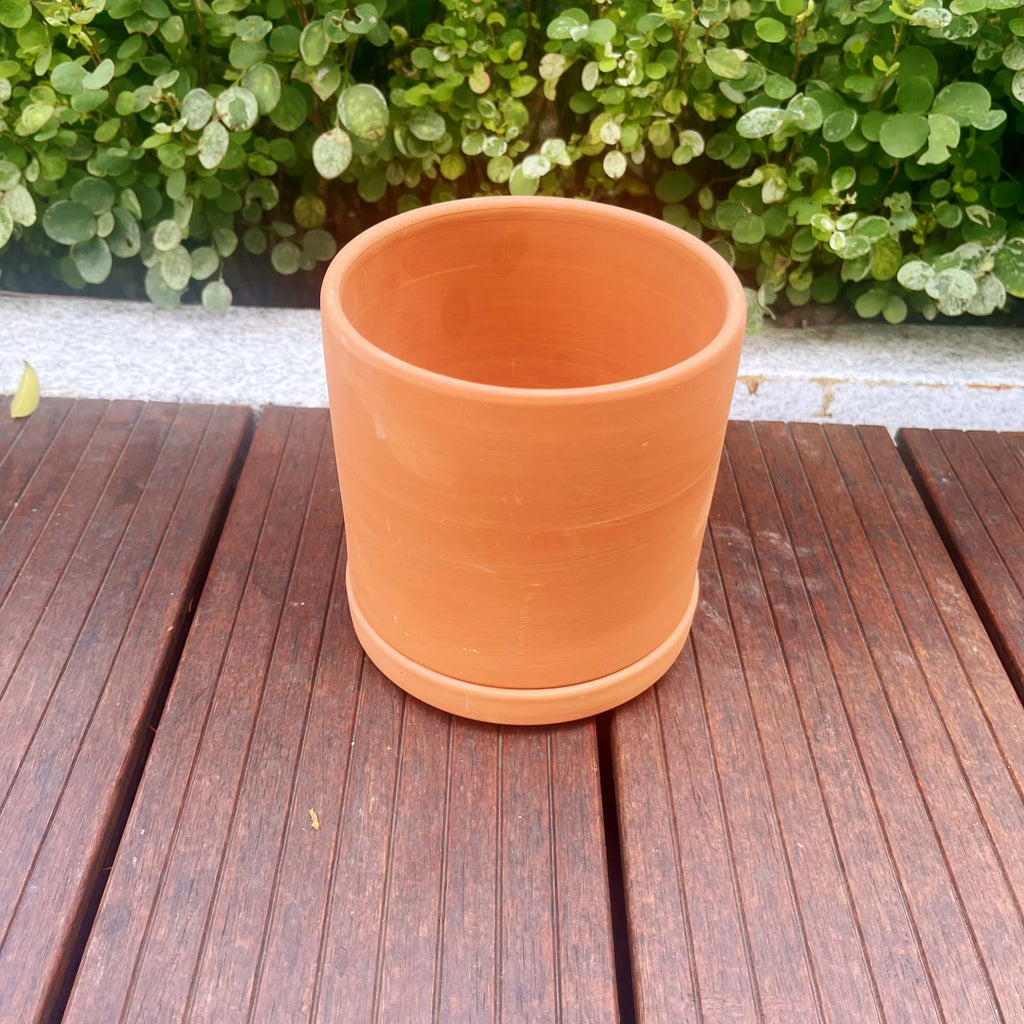 Terracotta Flower Pots, 3 Count with Drainage Holes B360
