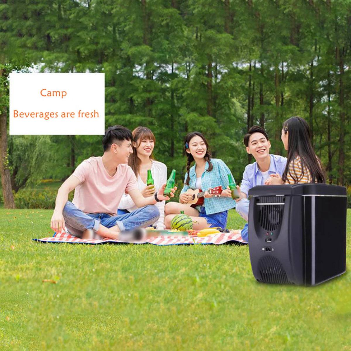 6 Liter Mini Fridge and Warmer P607096